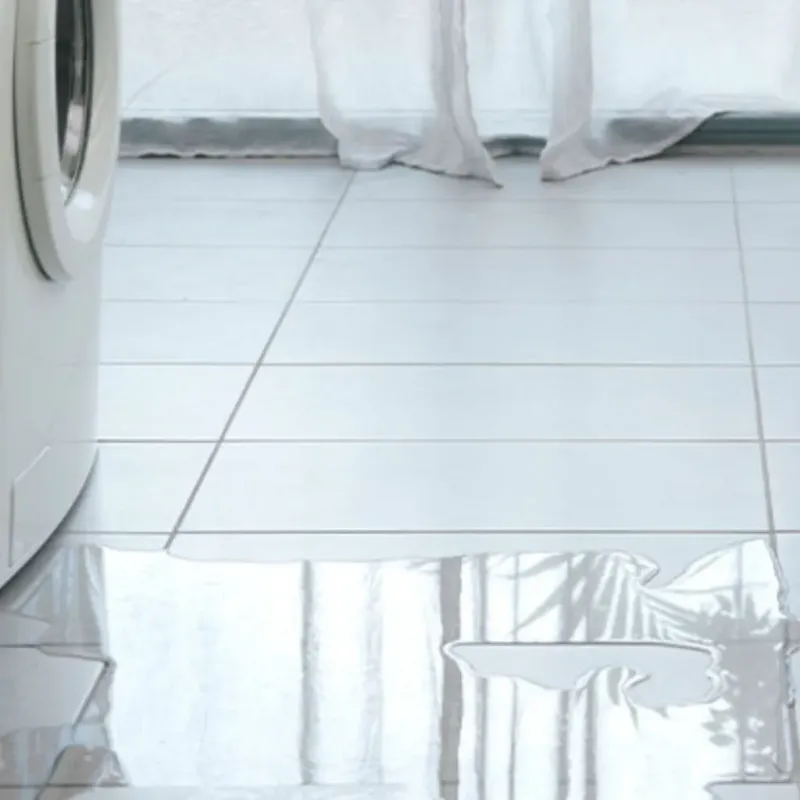 Appliance Leak Cleanup in Pineville, MO