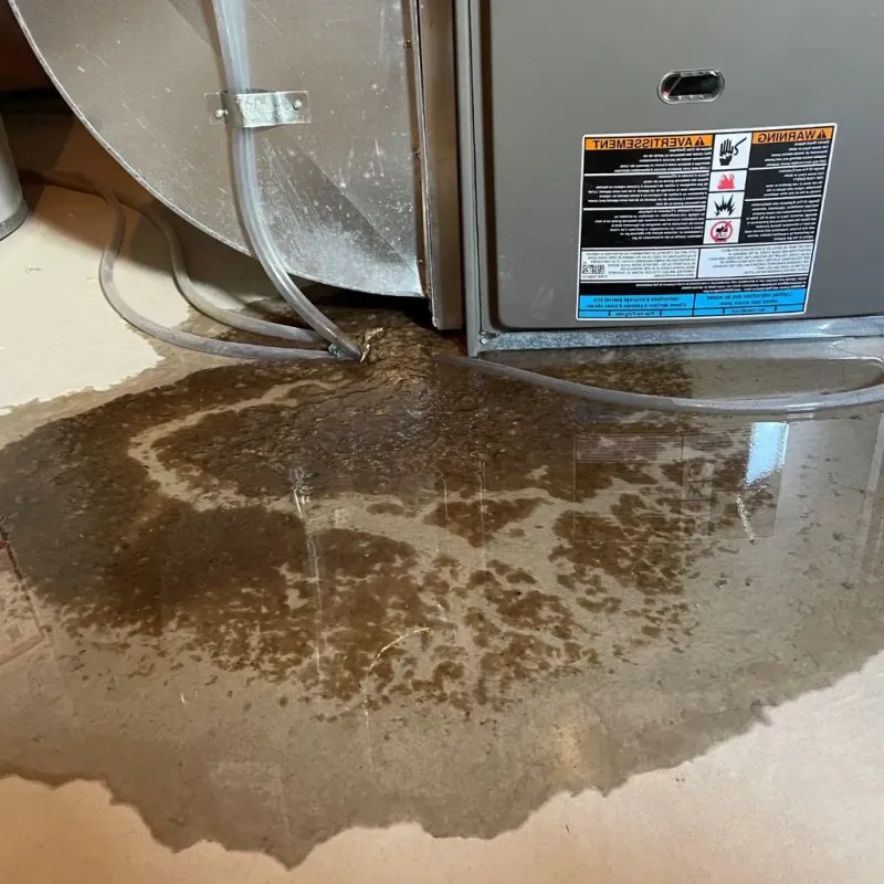 Pipe Burst and Leak Restoration in Pineville, MO
