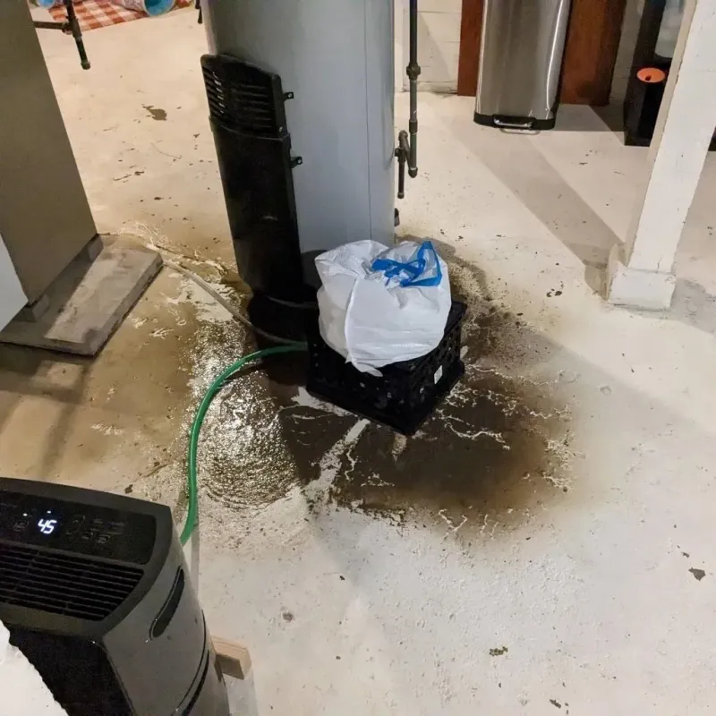 Sewage Backup Cleanup Service in Pineville, MO